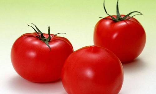 番茄